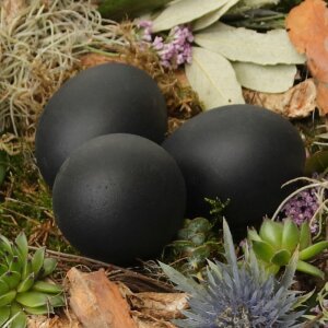 3 x Ostereier in schwarz oder schwarz-gold für Ihre Osterdekoration