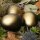 3 x Ostereier in schwarz oder schwarz-gold für Ihre Osterdekoration