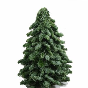 Weihnachtsbaum gefertigt aus frischer Nobilis Tanne