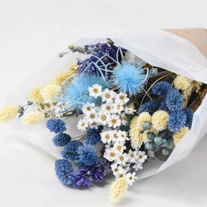 Trockenblumenstrauß mit Kugeldisteln in hellblau 50 cm