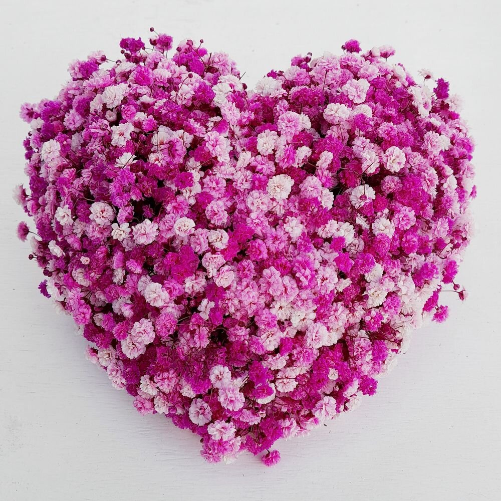 Herz aus frischem Schleierkraut – Rosa, Pink & Weiß – Blumendeko