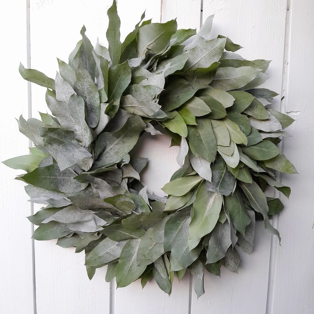 Eukalyptuskranz frisch gebunden – Zeitlose Tür- und Wanddekoration