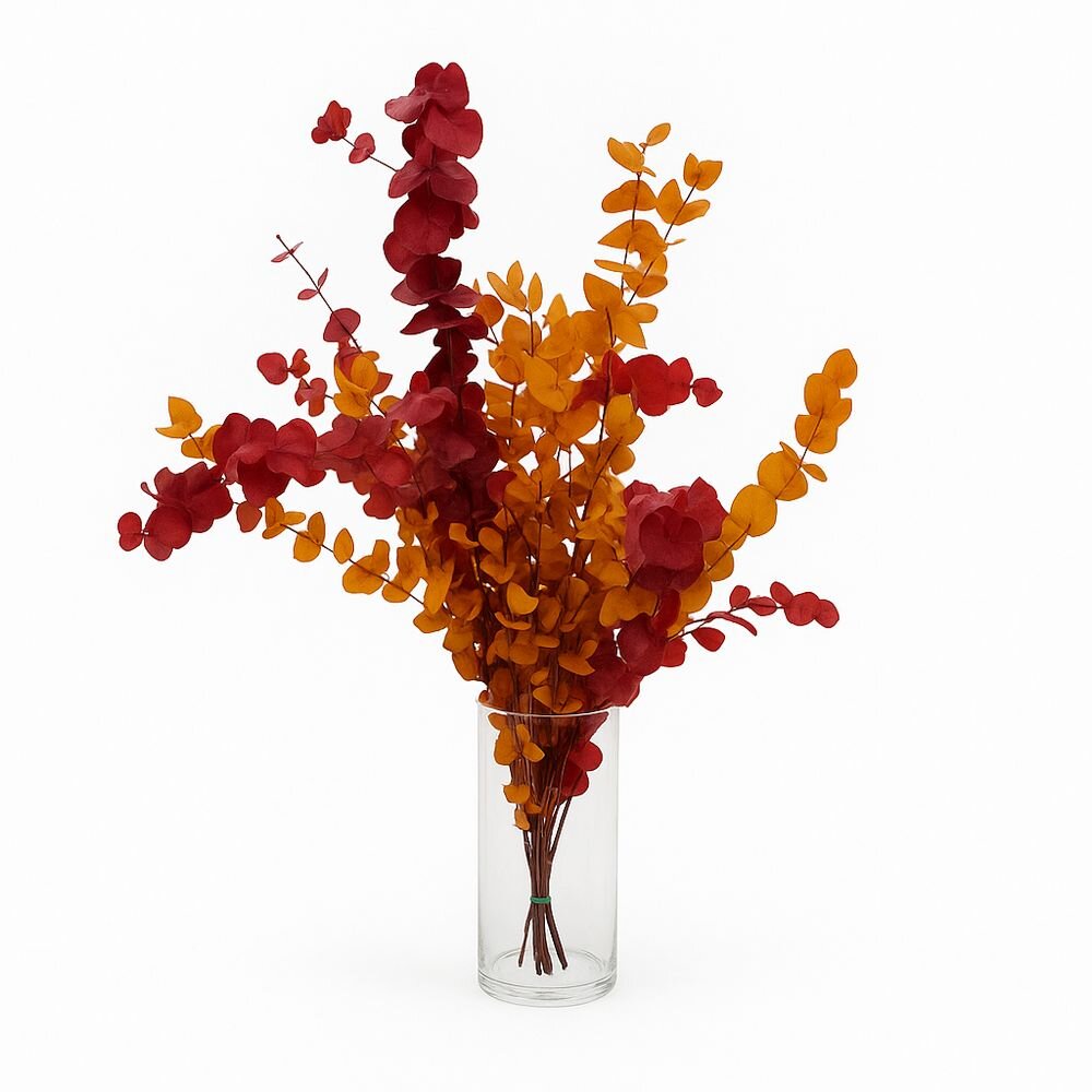 Eukalyptus Stuartiana konserviert – Herbstliche Eleganz im Bund