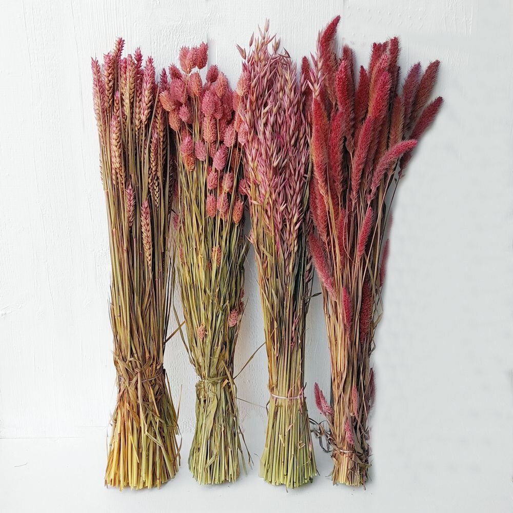 Trockenblumen DIY Bund – 4 Sorten rosa für Sträuße, Gestecke & Dekoration