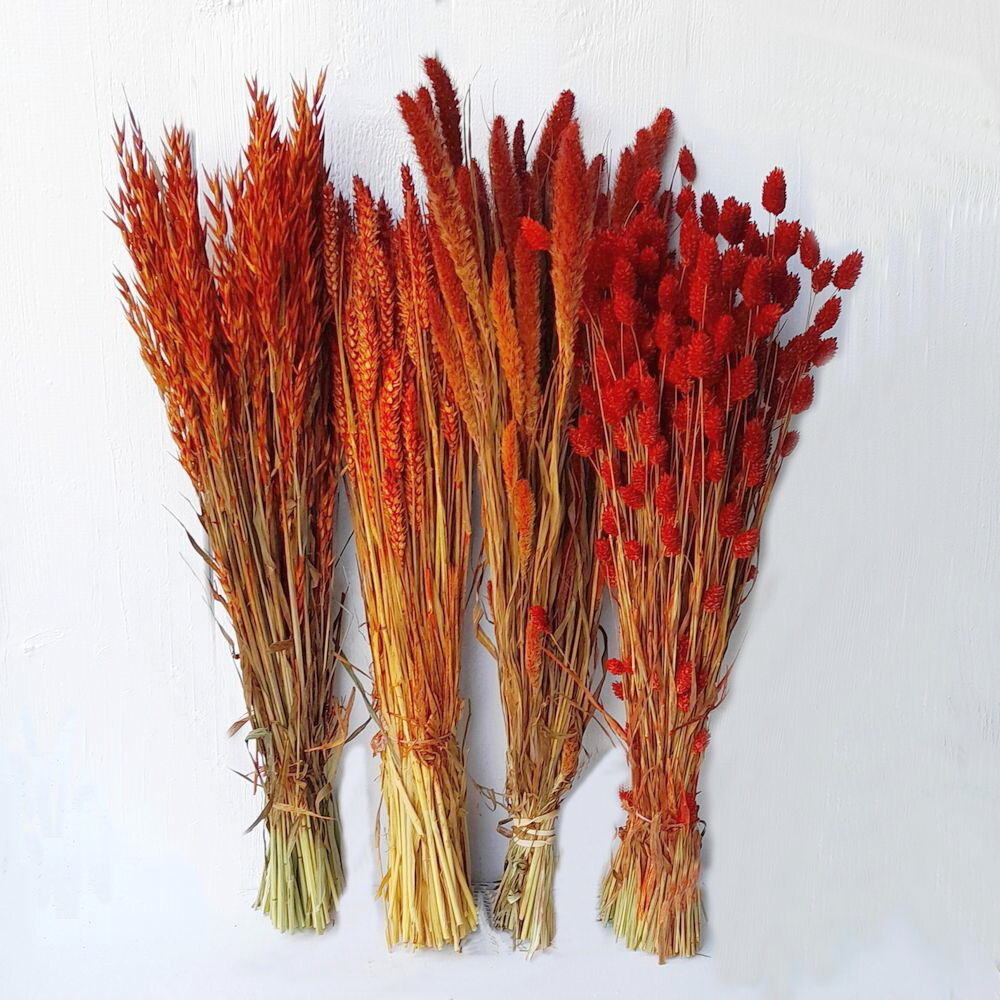 Trockenblumen DIY Bund – 4 Sorten rot für Sträuße, Gestecke & Dekoration