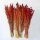 Trockenblumen DIY Bund – 4 Sorten rot für Sträuße, Gestecke & Dekoration