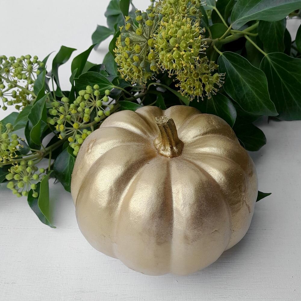 Casperita Kürbis in gold – natürlicher Zierkürbis pro Stück